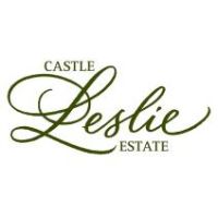 Castle leslie