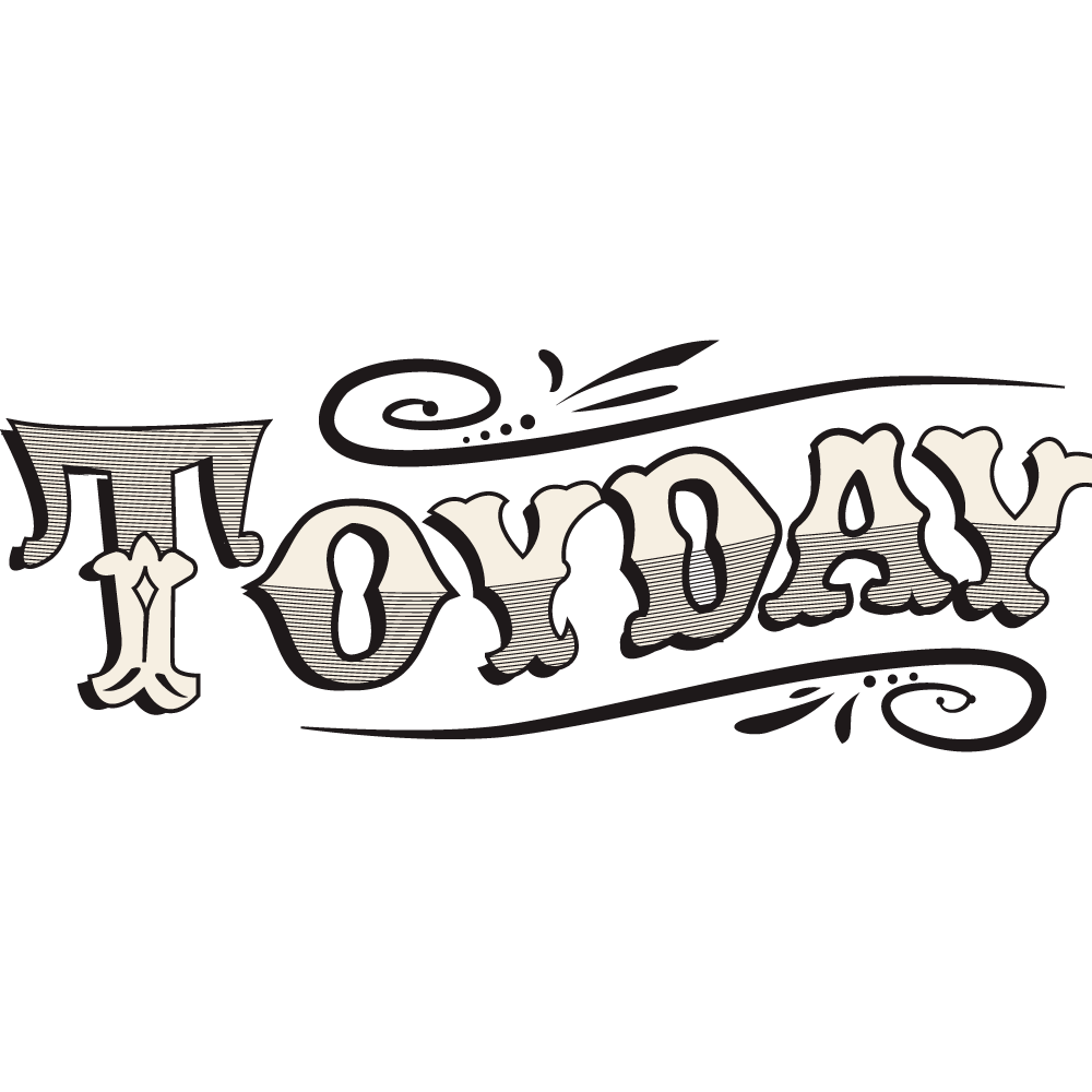 Toy Day